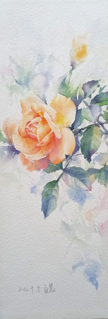 賞花時光